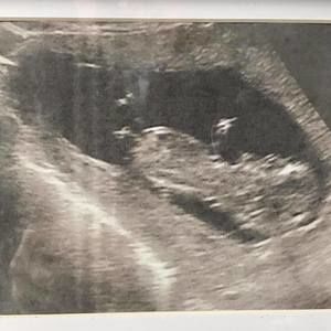 Meet your Posher, Dave